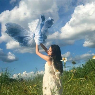 金刀秘卫之婳美人